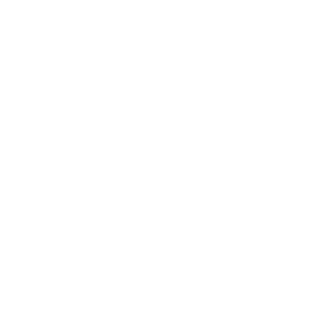 speaker speaker